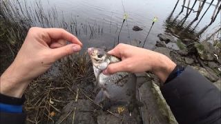 Ловля Карася Весной На Фидер — [Видео] Особенности Рыбалки в Марте, Апреле, Мае