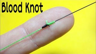 Соединительный узел blood knot. Как связать леску между собой. Лайфхаки и самоделки для рыбалки