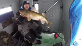 Icing A Pig Mille Lacs Walleye