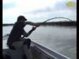 Невероятная рыбалка
