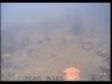 (Ф) Класне відео про ловлю коропа на фідер (підводна зйомка)